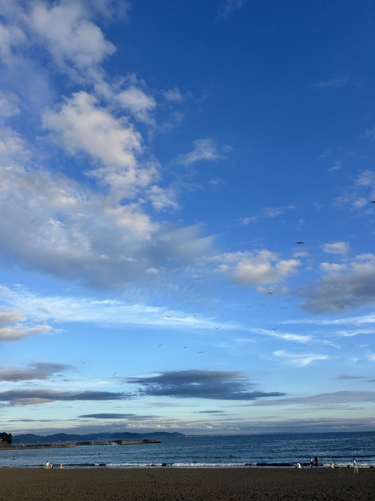 100km走る目標を達成しました