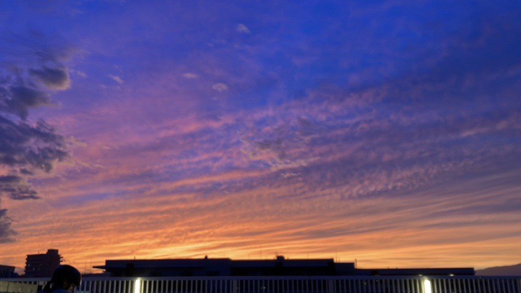 帰り道で見上げる夕陽