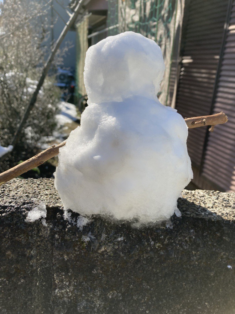 大雪でしたね！！