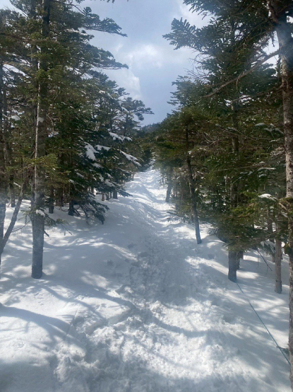 北横岳に登ってきました