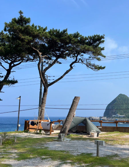 大自然の中でリフレッシュしてきました