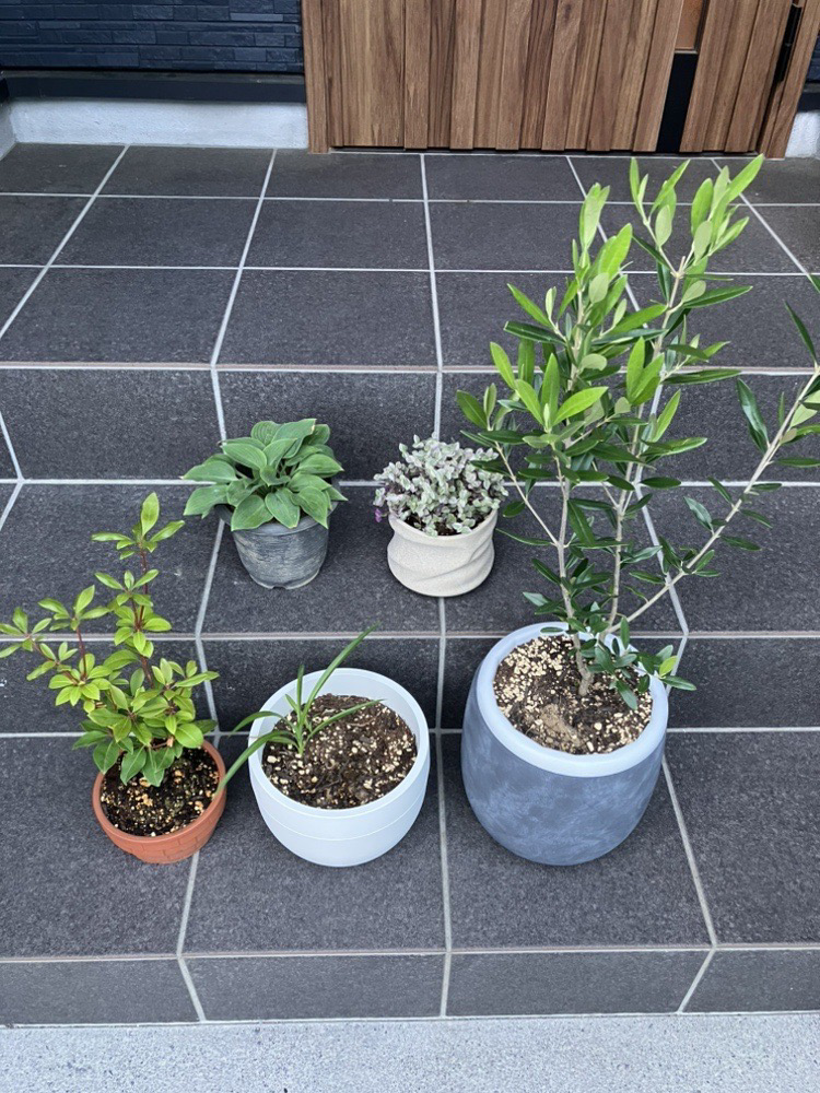 最近ハマっていること