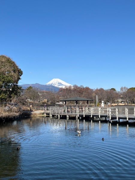 地元静岡に帰省しました