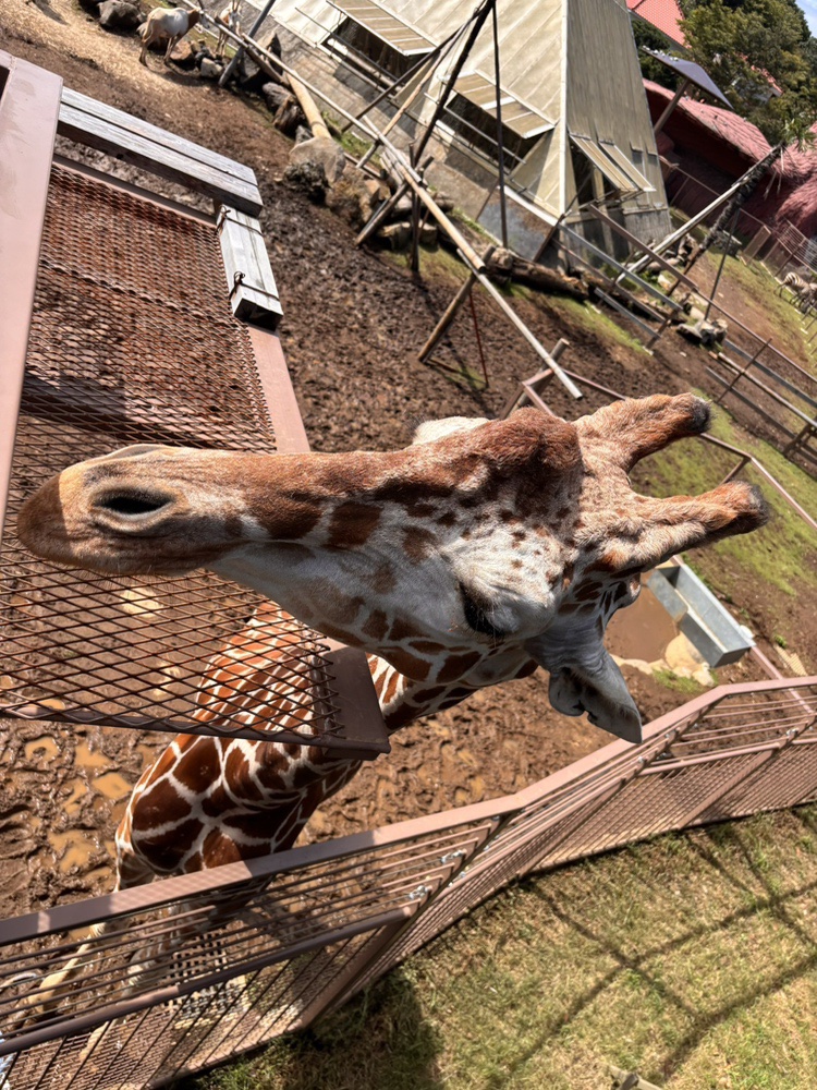 シャボテン公園に行ってきました!